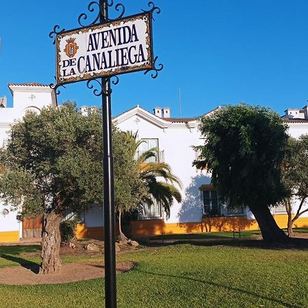 Apartmán Estudio Reina Y Pastora El Rocío Exteriér fotografie