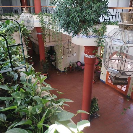 Apartmán Estudio Reina Y Pastora El Rocío Exteriér fotografie